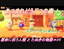 【あつ森】前人未島へようこそ！#25【あつまれどうぶつの森】