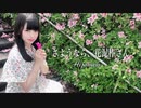 「さようなら、花泥棒さん」歌って踊ってみた*_いお