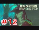 ゼルダ初心者とガチ勢のほのぼの伝説【ゼルダの伝説ブレスオブザワイルド実況：part12】
