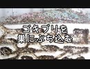 【ありの飼育記#149】蟻の巣に直接ゴキブリをぶち込んだらヤバすぎた　I put a cockroach in the ant's nest