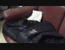 おはようあずき