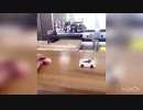 不幸にも白塗りの高級車に追突してしまう