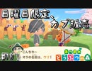 カブを売って狙え大儲け！マイデザインでスマホもリメイク☆【あつまれどうぶつの森】#10