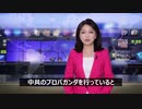 「中共の宣伝役」ホワイトハウスがVOAを非難 学者は中共の浸透を指摘