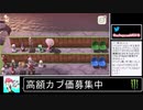 2020年04月13日【あつまれどうぶつの森】競馬場を作ろう！【放送アーカイブ】