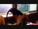 あなたのドジは見逃しませんよ～ 2020-04-14