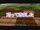 自称実質初見(初見ではない) #3 [ゆっくりMinecraft実況]