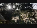 D5100　ムービー