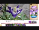 憎き害虫をコロコロするフラワーナイトガール 番外編　画像検索で何がでる？