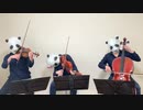 【ゆゆうた】「一般男性脱糞シリーズ」 （バイオリン、チェロ、ビオラ）弾いてみた