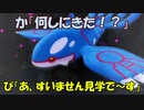 ポケモンー不思議のダンジョン救助隊DX実況？　してみる28【数の暴力part2】