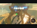 【ゼル伝BotW】100年の眠りから目覚めた勇者の冒険１２８【もちまる】