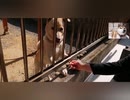 隣の番犬をおやつで手懐けたよ