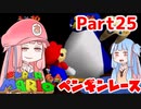 【マリオ64】1日64秒しかゲームできない茜ちゃん実況 25日目