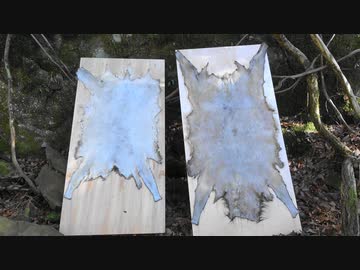 令和最初の狩猟生活（その１１８）