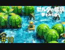 【実況】漂流者仕込みのイカダ捌き《ゼルダの伝説 夢を見る島》 Part10