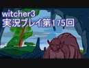 探し人を求めてwitcher3実況プレイ第175回