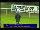 1994年 第34回レーシングポストトロフィー(Racing Post Trophy)(G1) セルティックスウィング(Celtic Swing)