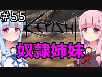 【Kenshi】琴葉茜・葵の奴隷姉妹 #55【VOICEROID実況】