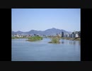 ２０２０年４月１４日　ho散歩　本川