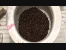 コーヒー豆をトイレに流してみた
