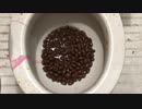 アーモンドチョコレートをトイレに流してみた