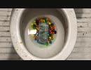 M&M'sとお金をトイレに流してみた