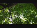 小高健三
