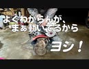 ホンダ管理機　F401 Punchを修理したつもり
