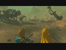 【ゼル伝BotW】100年の眠りから目覚めた勇者の冒険１２９【もちまる】