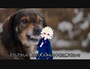 るろうにワンちゃん