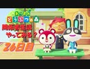 【N.Sw】" あつまれ どうぶつの森 " 開拓者生活やってみる？　26日目　【生放送】