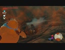 【Switch】リンクの記憶なしで成り行き旅【プレイ動画】part69