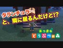 【ドM女の】あつまれどうぶつの森 絶叫プレイ & SWITCH開封の儀 生放送アーカイブ