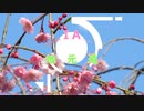 【ソフトウェアトーク車載劇場】IAちゃんとゆっくり地元道　part.03　～中海探索編～(+SP1 無西行DAY1-2)