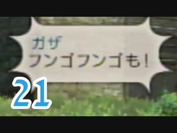 【実況】ゼノブレ世界を堪能しながらクリアを目指すpart21【xenoblade】【クエ回2】