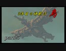 【ゼルダの伝説ブレスオブザワイルド】リト族の里険しすぎ・・・【実況プレイ】part25