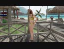 グラビアパラダイスランダム