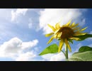 【NNIオリジナル曲】Never Ever【RUHIA】