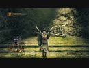 【ダクソ２】葵ちゃんが闇魔術師を目指してみる！　その13