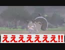 【1分動画】#7 ゲームをやった事ない女のゲーム実況動画　ポケモンシールド