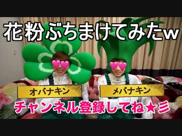 卵が作った痛いヒカマニ外伝「花粉ぶちまけてみたｗ」