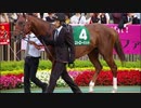 【ウイニングポスト8 2015】女馬主と早世馬の新世界【実況プレイ】391