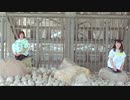 【おんまめ】脱法ロック【踊ってみた】
