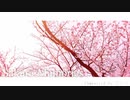 002｜Sakura Memories 【OST】#フリーBGM