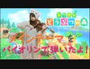 【あつまれどうぶつの森】メインテーマバイオリンで弾いてみた！【真ん中の人の主張編】