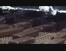 住民に希望もたらすガザのチョコレート製品