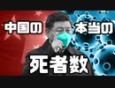 中国の本当のコロナ死者数 「スマホから見えた真実」【ゆっくり解説】