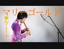 マリーゴールド／ケーナ奏者Ren　【あいみょん】