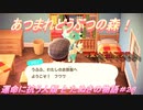【あつ森】前人未島へようこそ！#28【あつまれどうぶつの森】